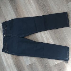 Inc denim  skinny leg regular fit short Dark Wash 18 short